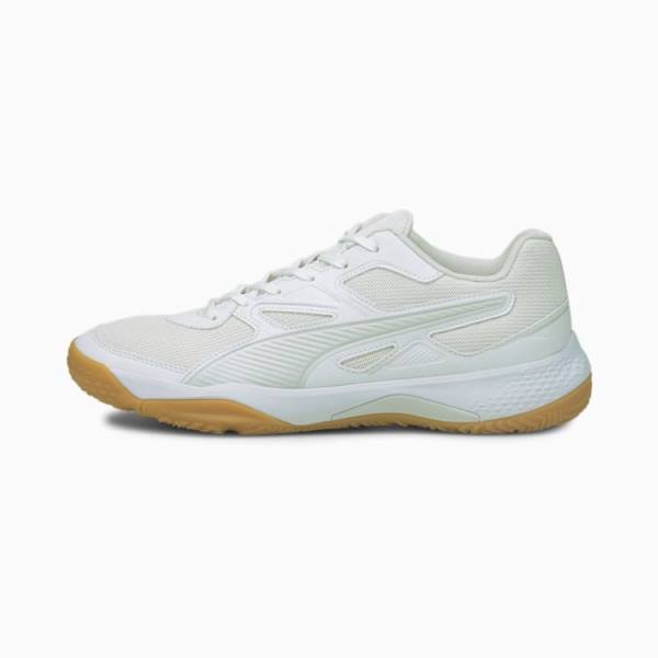 Pantofi Handbal Puma Solarflash Indoor Sports Barbati Albi | PM325LYD