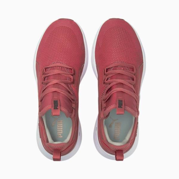 Pantofi Sport Puma Pure XT Moto Rose Dama Roz Aurii | PM314JMG