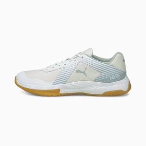 Pantofi Handbal Puma Varion Indoor Sports Barbati Albi Albastri | PM271VAS